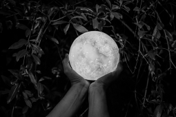 Luna e l'altra