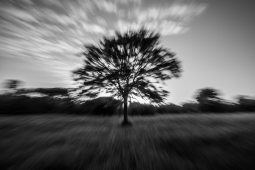 539A9907-2-RID