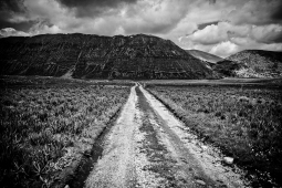 CAMPO-FELICE2